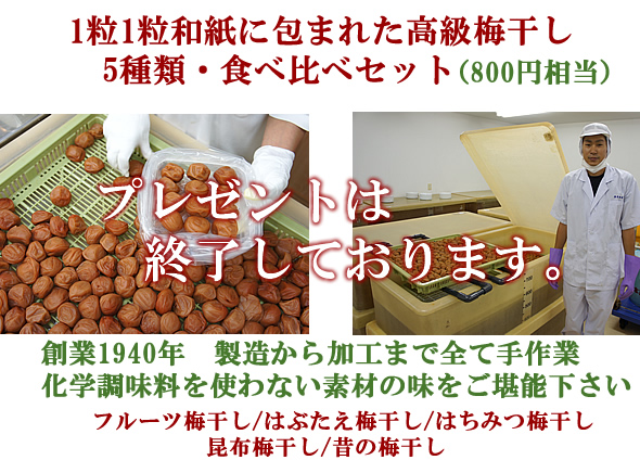 �~�����v���[���g,�~���i�v���[���g- �[���~�X -